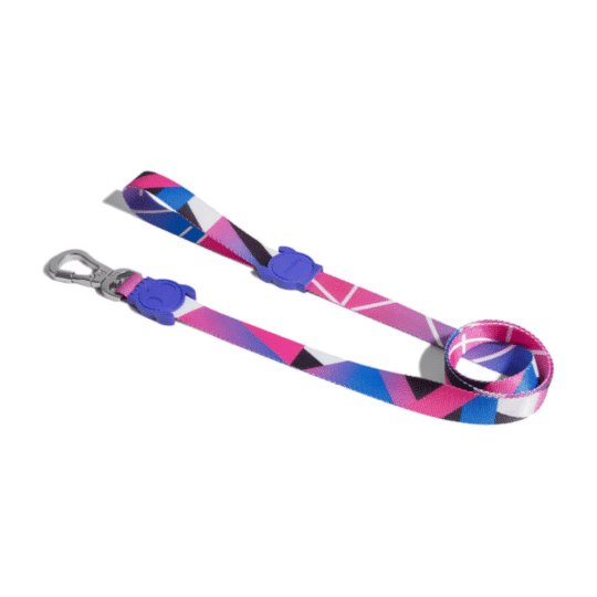 Zeedog correa para perros modelo Midnight