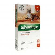 Bayer Advantage Pipeta antipulgas y antiparasitario para gatos hasta 4kg