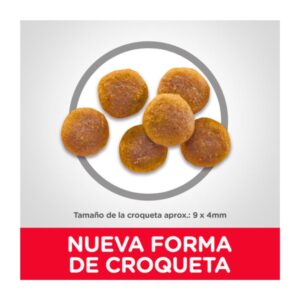 croqueta