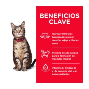 beneficios