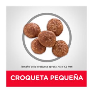 croqueta