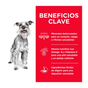 beneficios clave