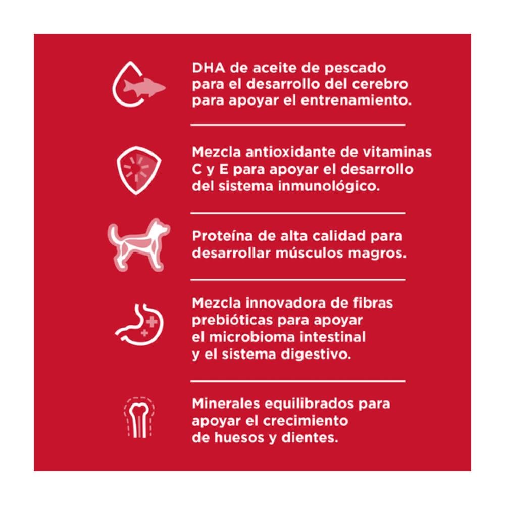 Hills SD Small & Mini Puppy 2kg - Cachorros de razas pequeñas - Imagen 5