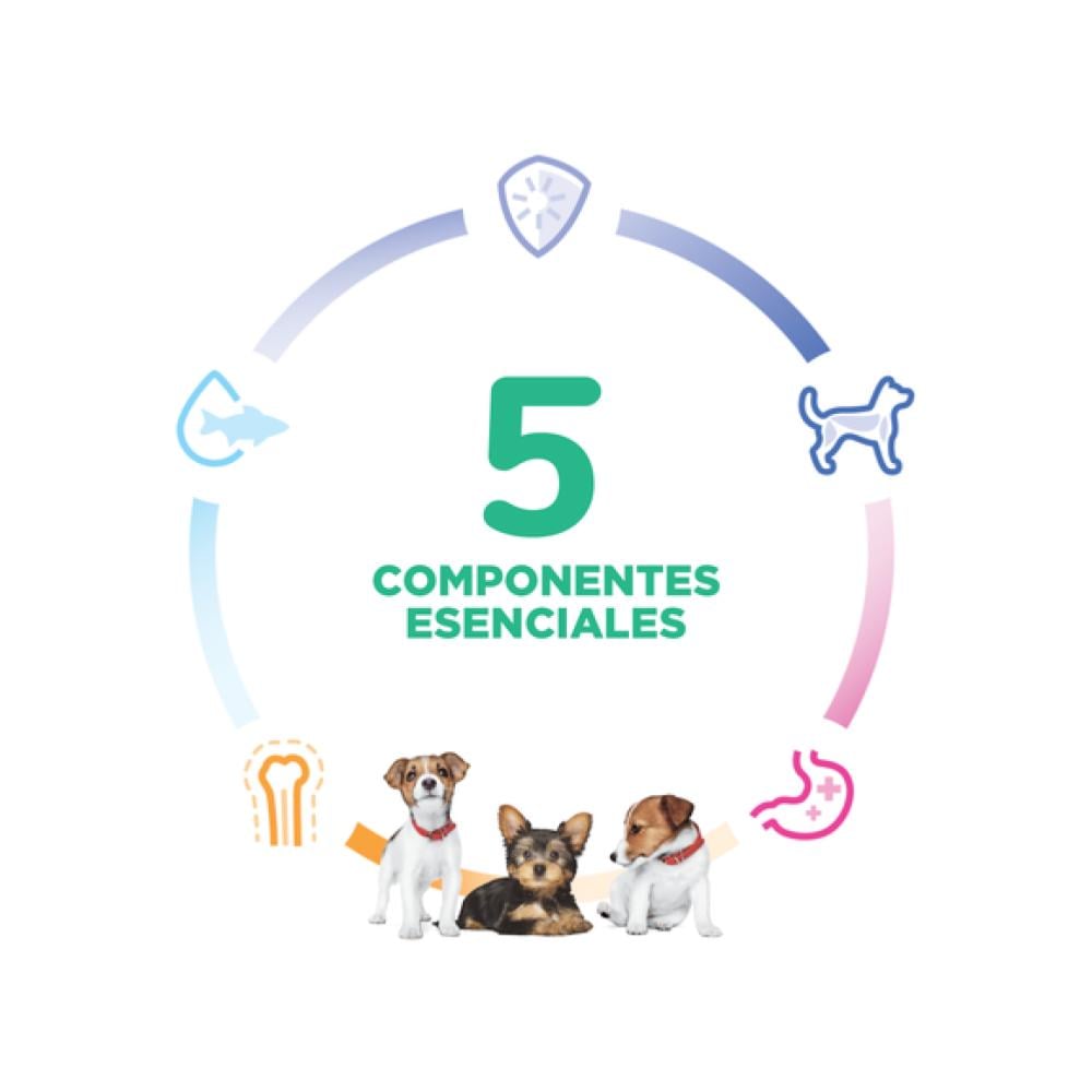 Hills SD Small & Mini Puppy 2kg - Cachorros de razas pequeñas - Imagen 6