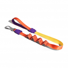 Zeedog Correa RUFF para perros modelo Pump