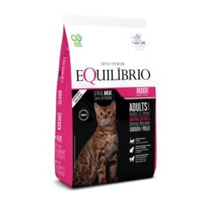 equilibrio adult indoor gato