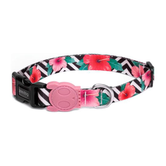 Zeedog collar para perros modelo Mahalo