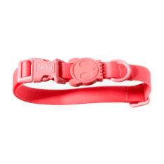 Zeedog collar para perros modelo Neopro Bubblegum