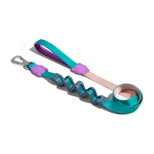 Zeedog correa RUFF para perros modelo Boogie