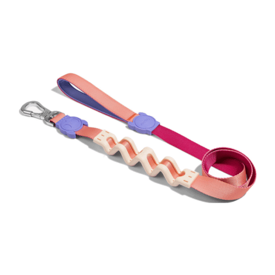 Zeedog correa RUFF para perros modelo Cinnamon