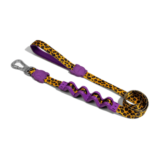 Zeedog correa RUFF para perros modelo honey