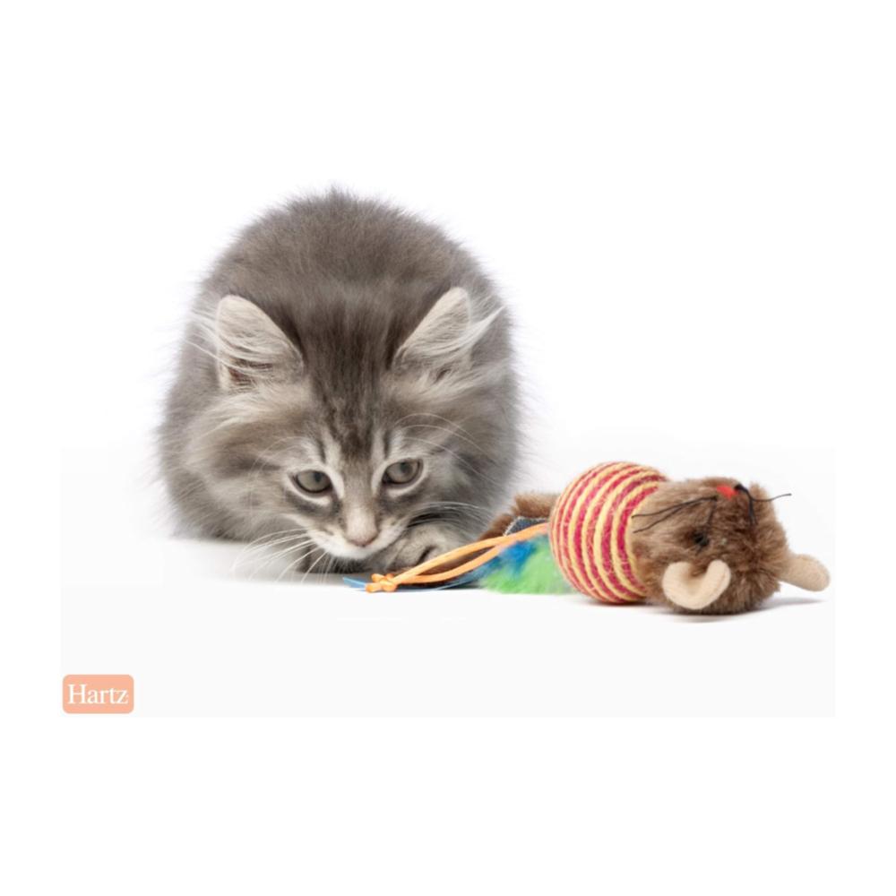 Hartz JFC Roll About Mouse - Juguete para gatos - Imagen 3