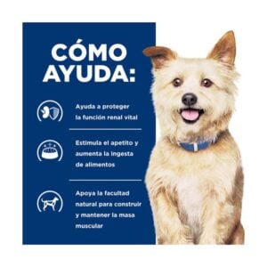 Hills PD kd Cuidado renal Alimento para Perros como ayuda