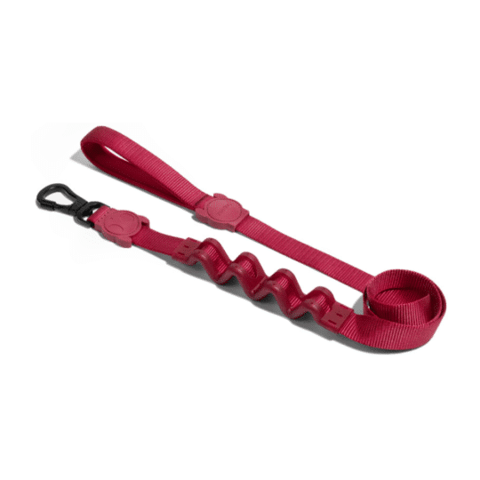 Zeedog correa RUFF para perros modelo Bordeau