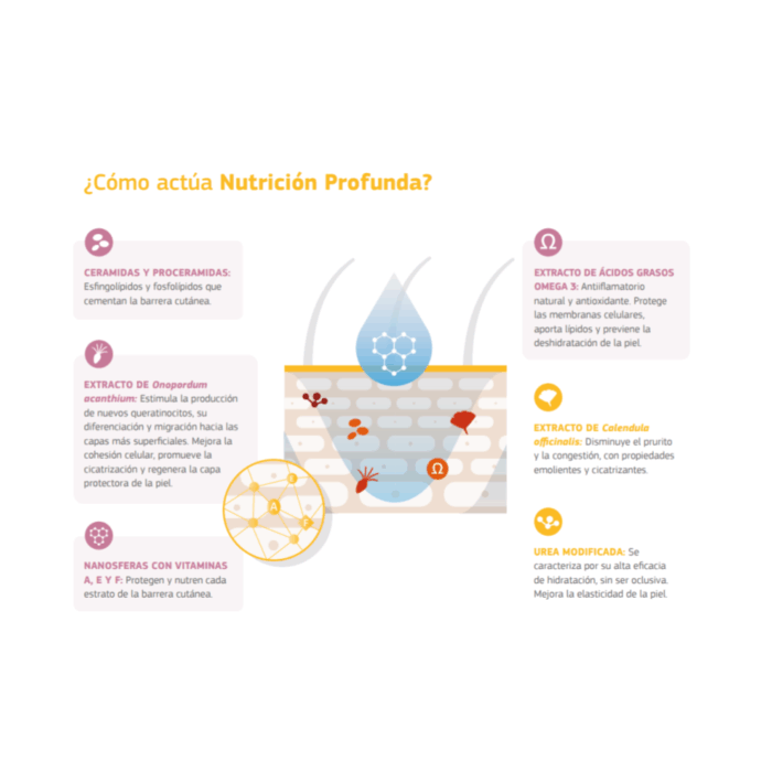 Labyderm Nutrición Profunda 4ml - Ampolla regeneradora - Imagen 3
