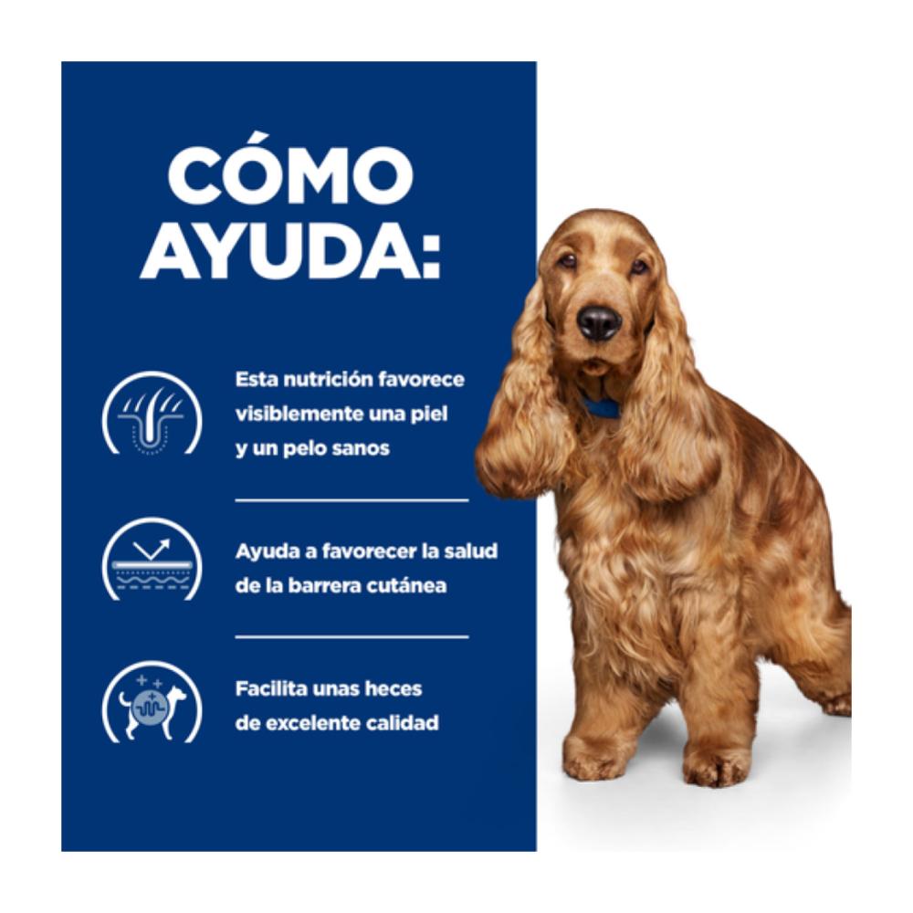 como ayuda