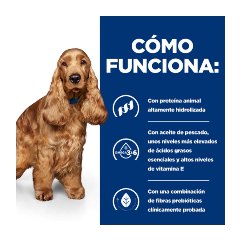 Como funciona