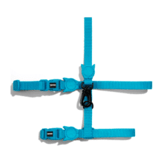 Zeecat arnés y correa para gatos modelo Ultimate Blue