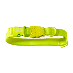 Zeedog collar para perros modelo NeoPro Lime