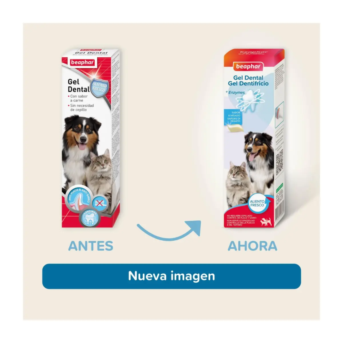 Beaphar Gel Dental para perros y gatos - Imagen 2