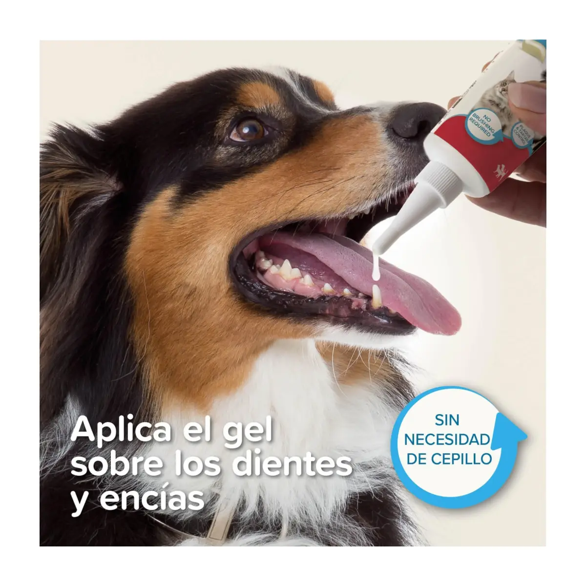 Beaphar Gel Dental para perros y gatos - Imagen 3