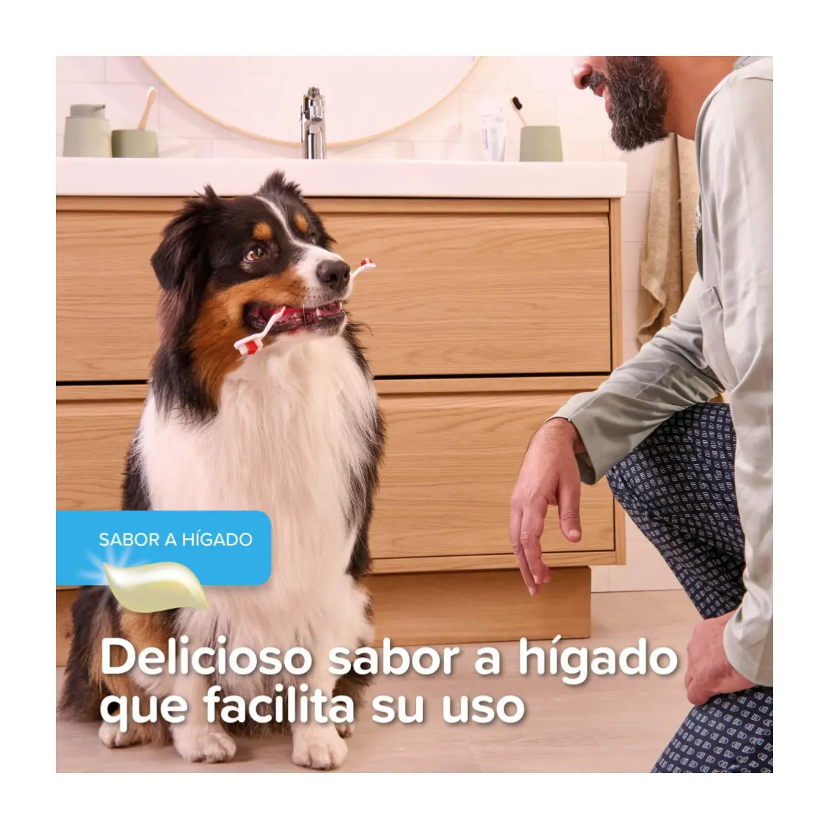 Beaphar Gel Dental para perros y gatos - Imagen 4