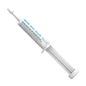 PetAg Bene Bac Plus Perros y Gatos - Jeringa x 15gr