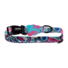 Zeedog collar para perros modelo Blast