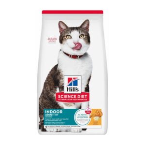 Hills SD Adult +11 indoor - Gatos senior de interiores