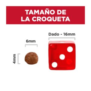 Hills SD Kitten Indoor tamaño de croqueta