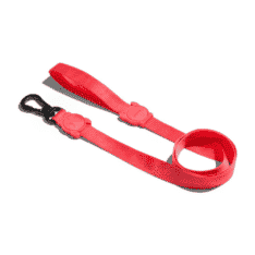 Zeedog correa para perros modelo Neon Coral