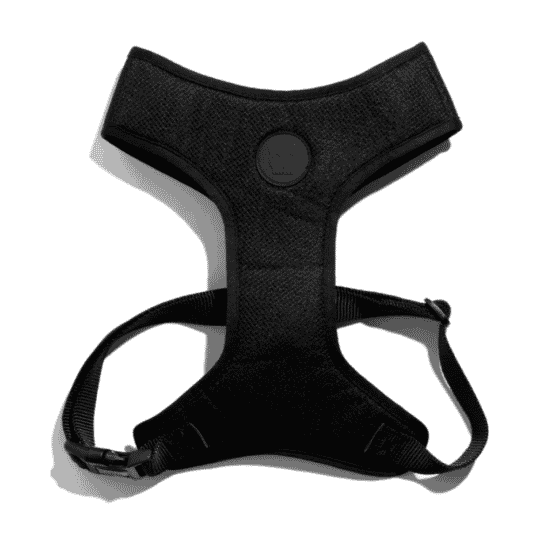 Zeedog Arnés Air Mesh para perros modelo Gotham