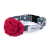 Sevilla - Collar para perros