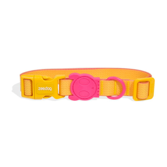 Zeedog collar para perros Neopro Lyra