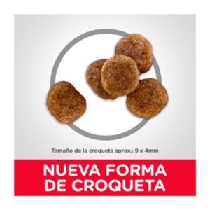 tamaño de la croqueta