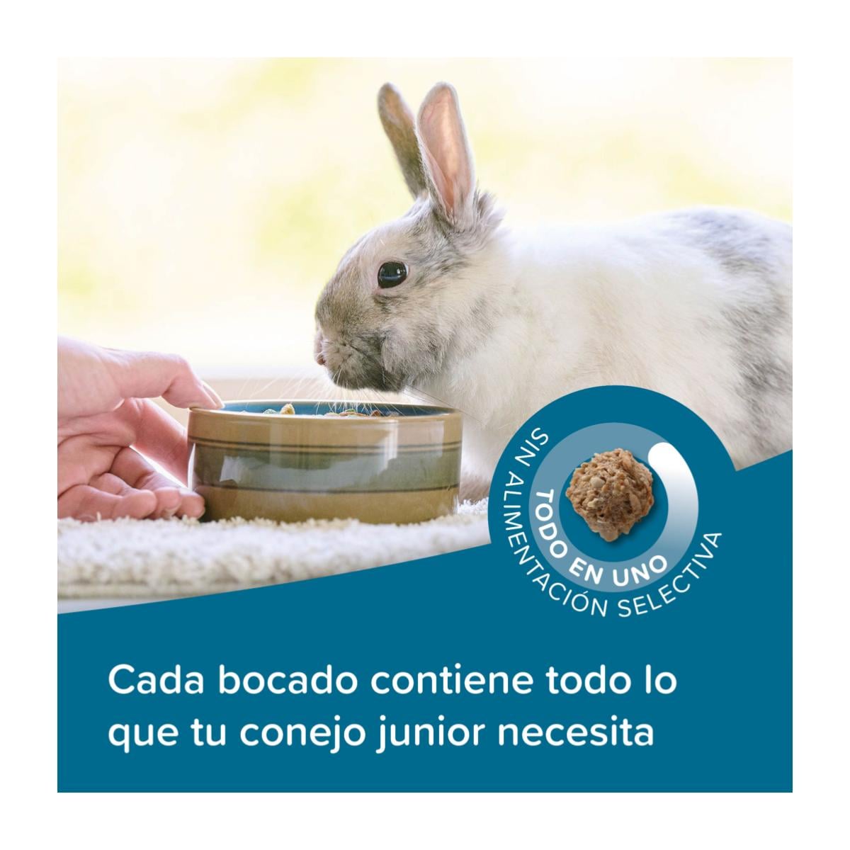 Beaphar Care+ Junior Rabbit - Conejos pequeños