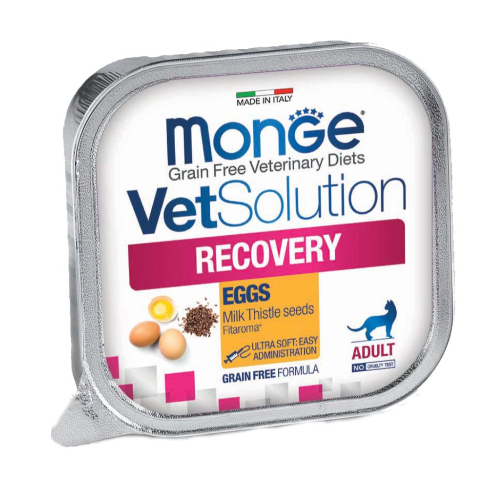Monge VetSolution Feline Recovery 100gr