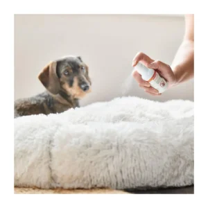 Beaphar CaniComfort calming spray