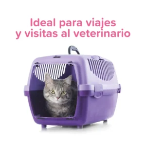 Beaphar-CatComfort-Travel-Spray