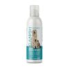 Canish Shampoo espuma en seco para perros y gatos