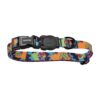 Zeedog collar para perros modelo MTV