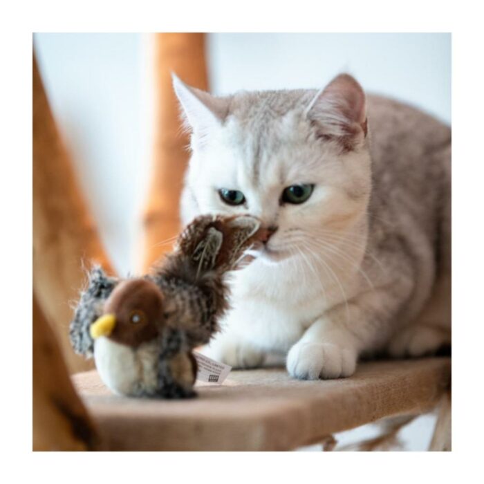 GIGwi Melody Chaser Bird - Juguete para gatos - Imagen 5