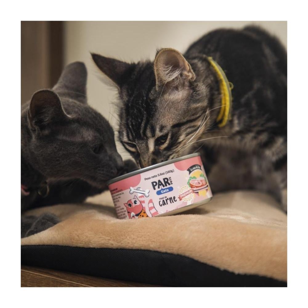 Par Pets paté de Carne para gatos adultos x 160gr - Imagen 2