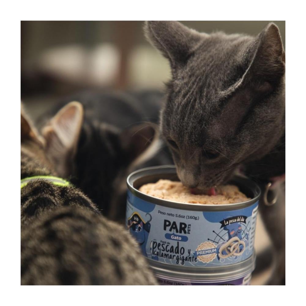 Par Pets paté de Pescado y Calamar Gigante x 160gr - Imagen 2