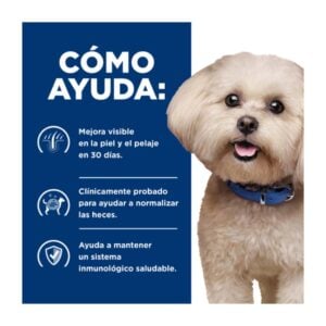 Como ayuda