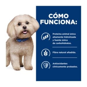 Como funciona