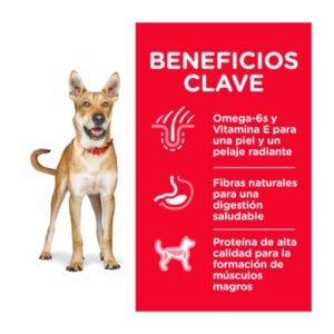 Beneficios clave