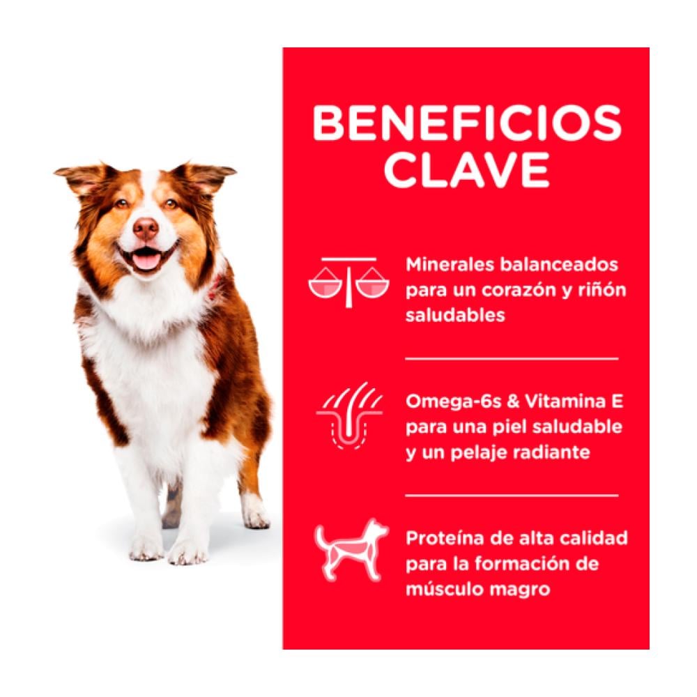 Beneficios clave
