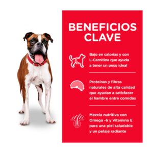 Beneficios claves