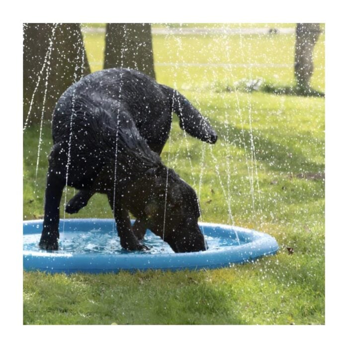 Coolpets Splash Pool Watersprinkler - Piscina para perros - Imagen 3